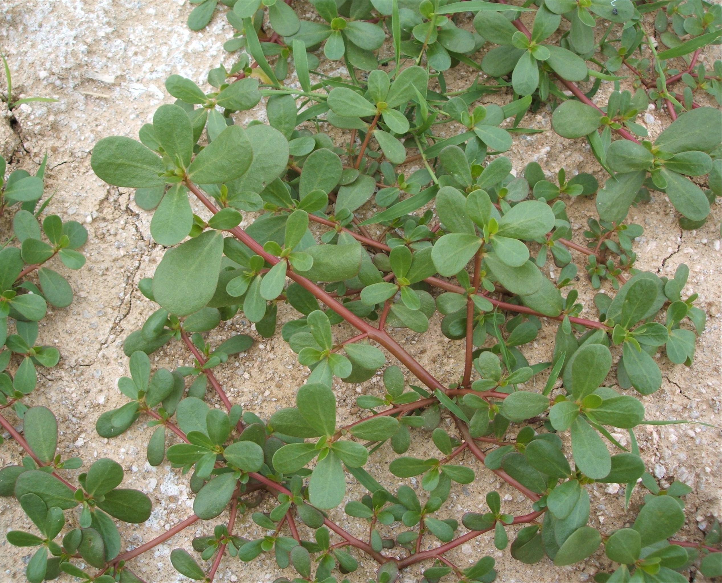 기사 대표 이미지