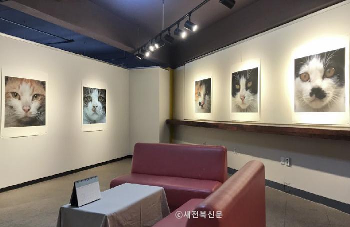 기사 대표 이미지