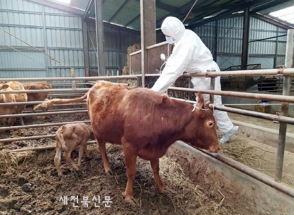 기사 대표 이미지