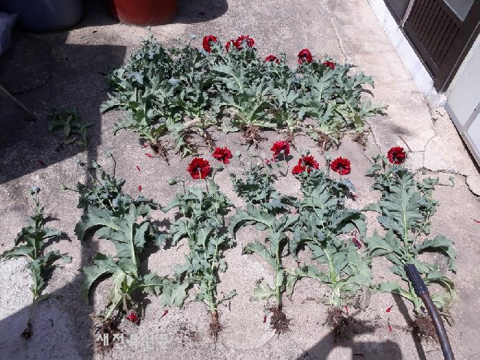 기사 대표 이미지