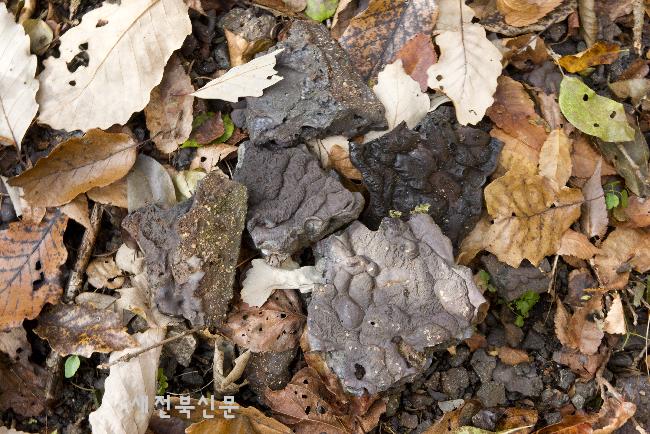 기사 대표 이미지