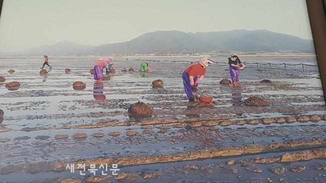 기사 대표 이미지