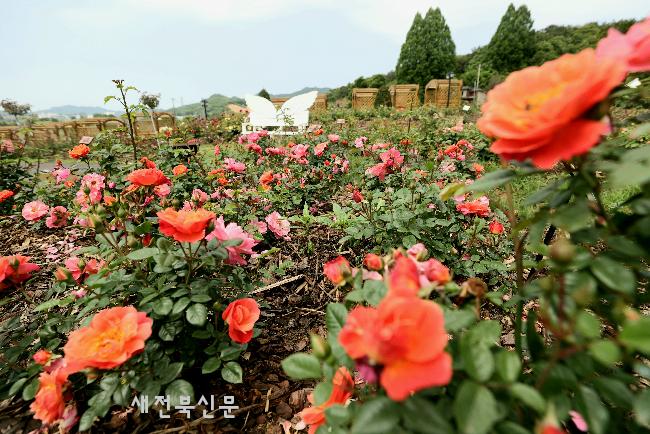 기사 대표 이미지