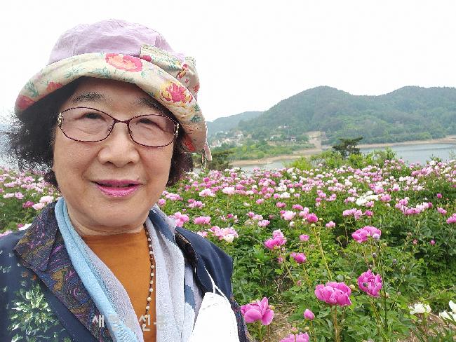 기사 대표 이미지