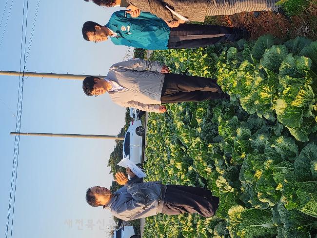 기사 대표 이미지