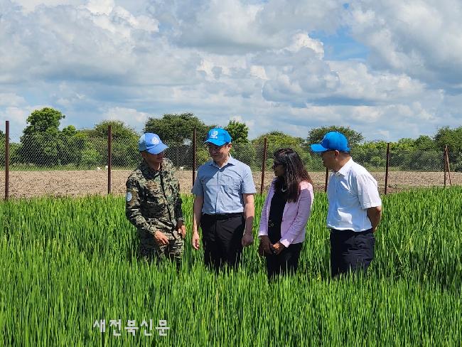 기사 대표 이미지