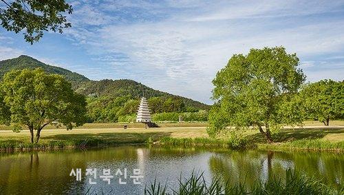 기사 대표 이미지