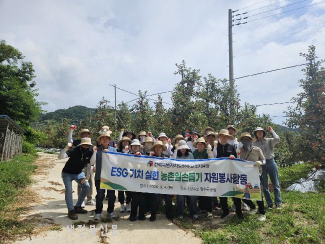 기사 대표 이미지