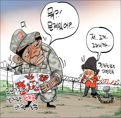 출처: 한국 네티즌본부, 카페