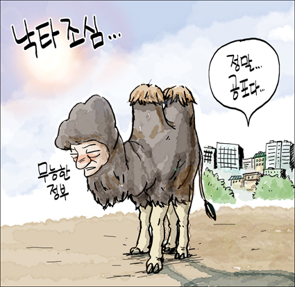출처: 한국 네티즌본부, 카페