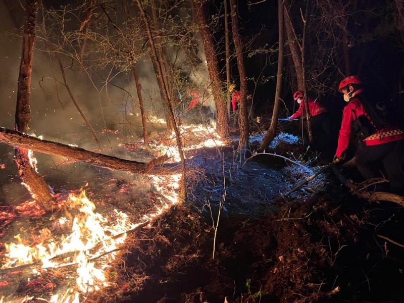 무주국유림관리소 봄철 산불 조기 대응