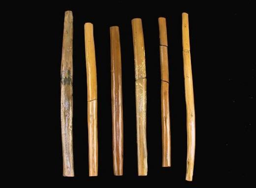 부여 관북리유적에서 왕궁리유적 화장실터와 같은 뒤처리용 나무 조각 발굴 

