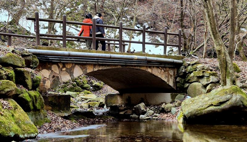 ■ 우수(雨水), 심심산골도 봄기운