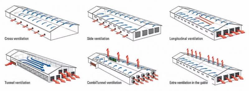봄철 환절기, 닭 사육 농가 맞춤형 환경 관리 당부