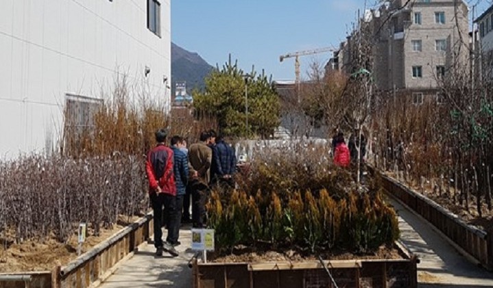 고창군산림조합, 나무시장 개장