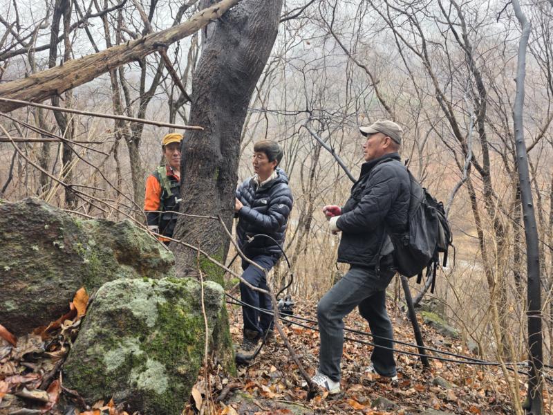 지리산뱀사골 고뢰쇠 채취 본격