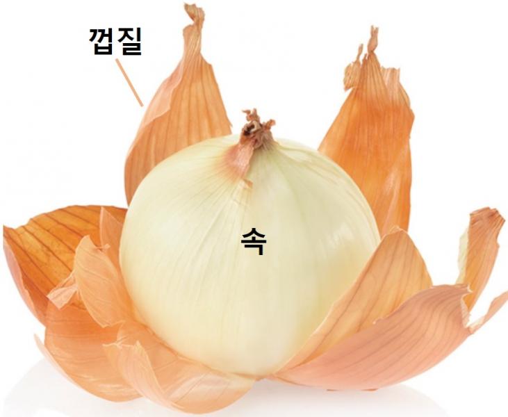 국내 양파, 혈관 건강·당뇨 예방 돕는 플라보노이드 성분 풍부