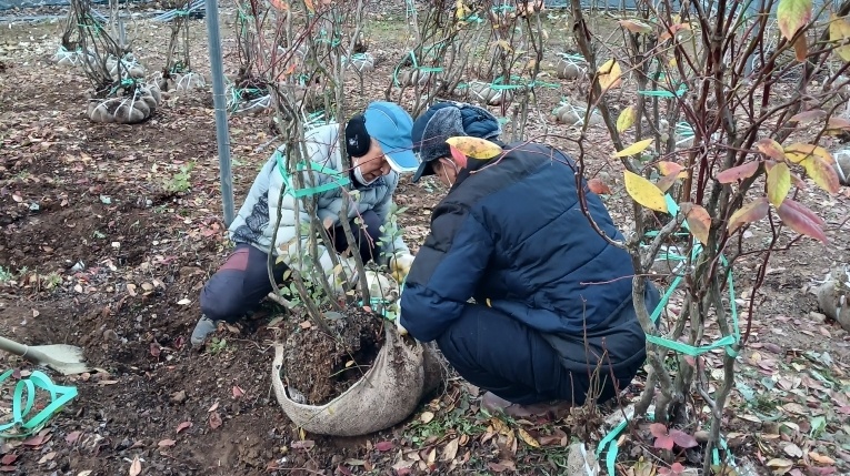 무주군 농가 일자리 지원 서비스
