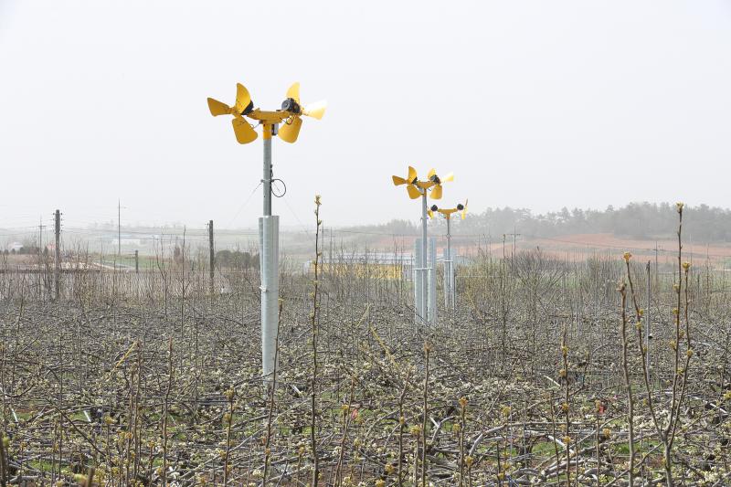 농촌진흥청, 과수 개화 전후 저온 피해 대응 현장 기술지원단 운영