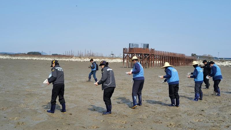 부안해경, 줄포만 갯벌 블루카본 조성 염생식물 파종 행사 실시
