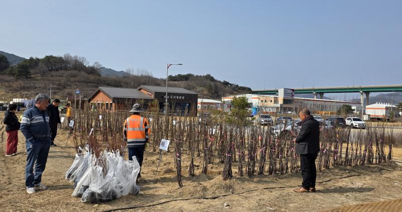 장수군산림조합, 봄맞이 나무 전시판매장 개장