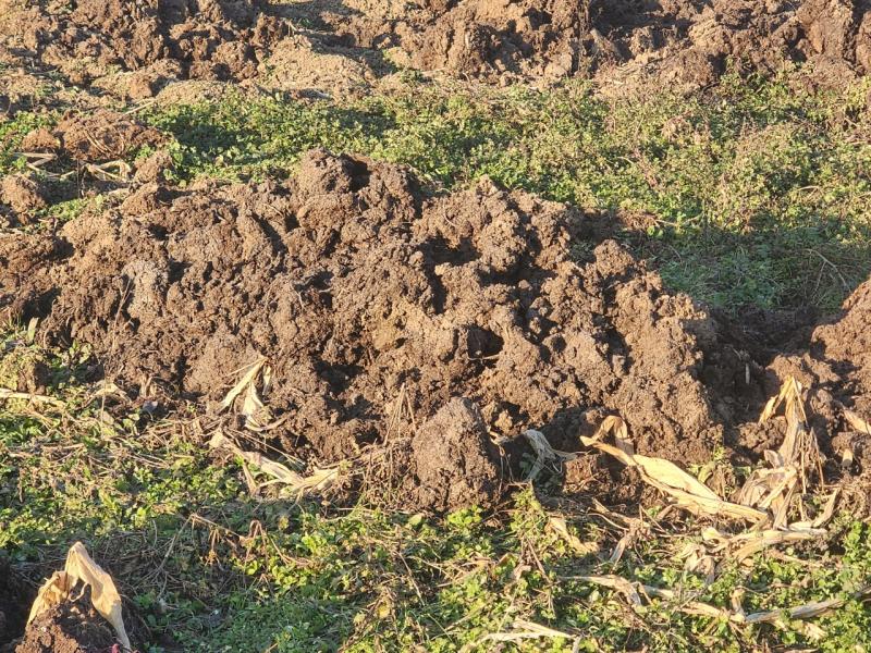 장수군, 봄철 가축분뇨 및 퇴비 야적 지도·점검 강화