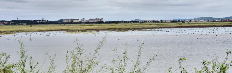 새만금 용도 '농사 vs 공장' 충돌