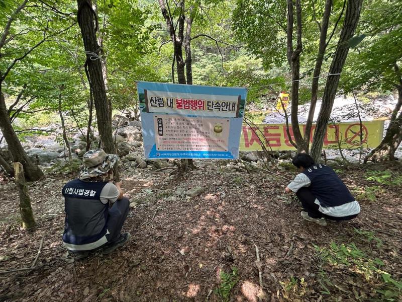 무주국유림관리소 불법행위 특별단속