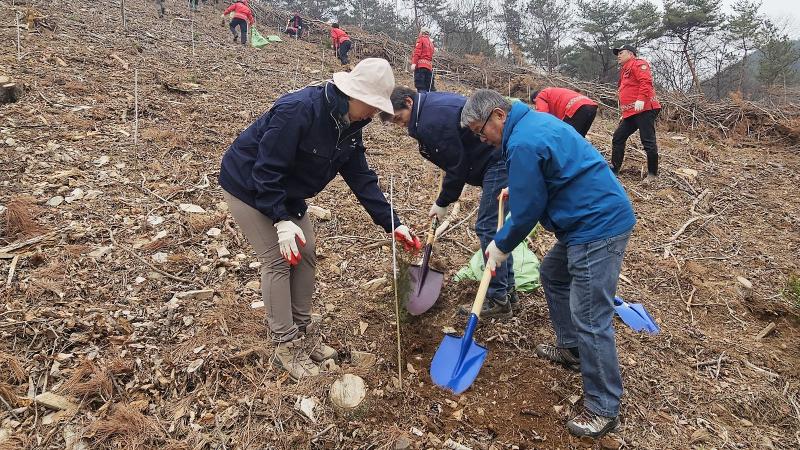 임실군, 제81회 식목일 기념 나무심기 행사 성료