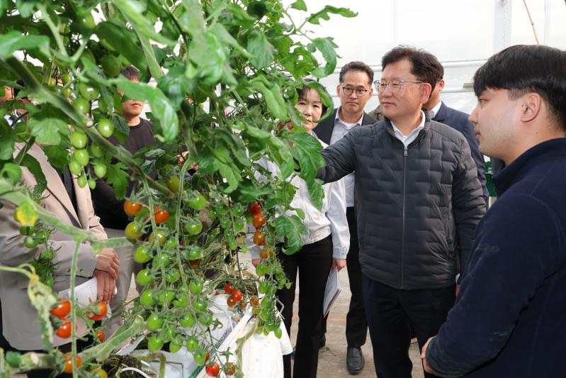 농촌진흥청, 시설채소 생육 점검 및 고유가 대응 에너지 절감 기술지원