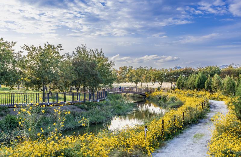 부안군, 줄포만 노을빛 정원 체험 프로그램 시범 운영
