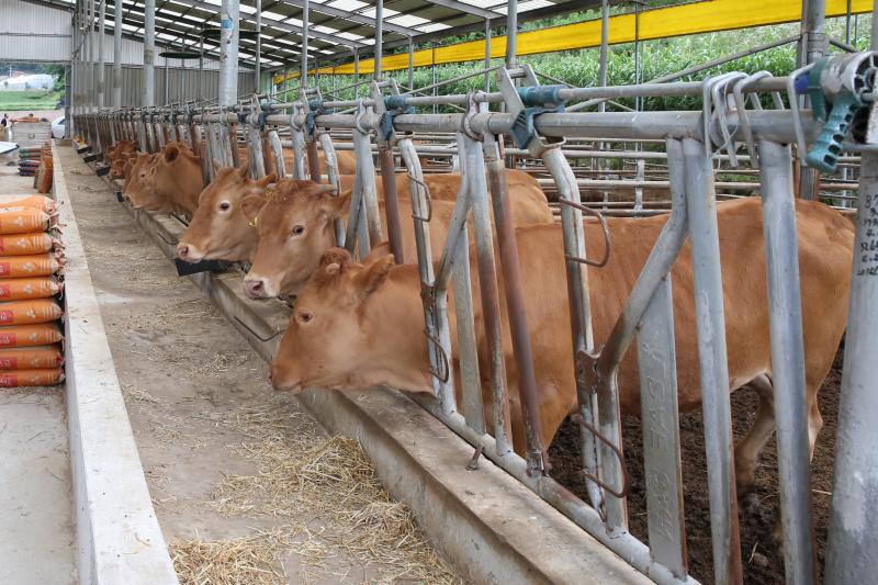 무주군 깨끗한 축산농장 발굴