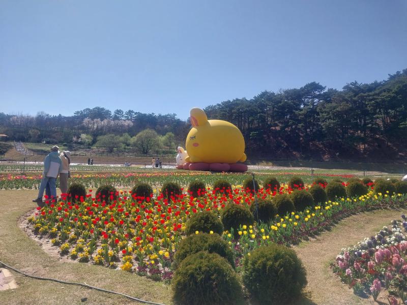 고창 꽃정원, 페스타