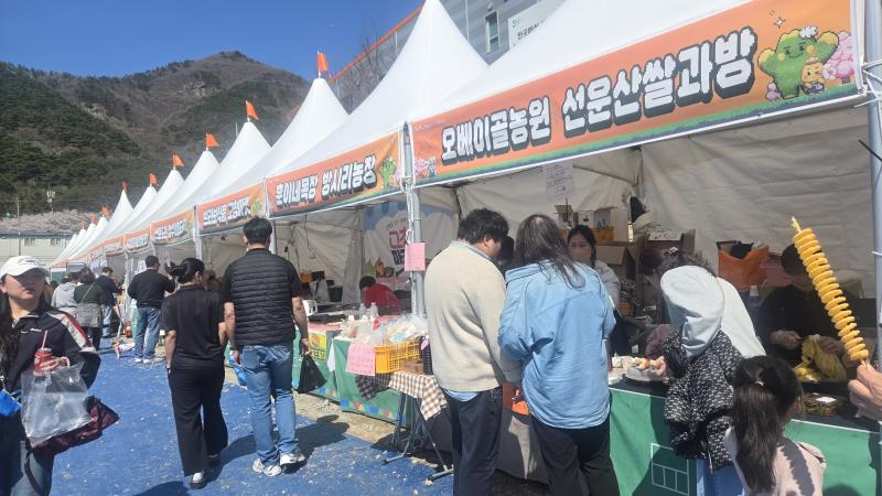 고창마켓, 고창 벚꽃축제에서 농특산물 홍보·판매 부스운영