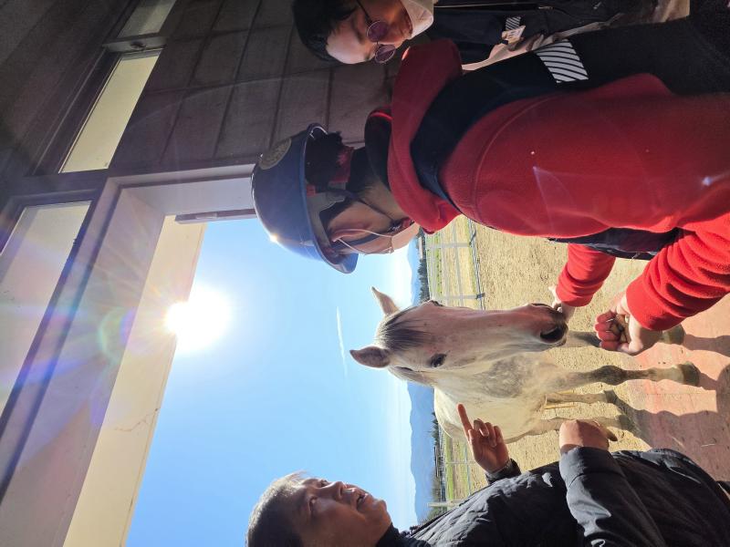 장수군노인장애인복지관-한국마사회 장수목장, 발달장애인 말산업 기초 직업훈련 