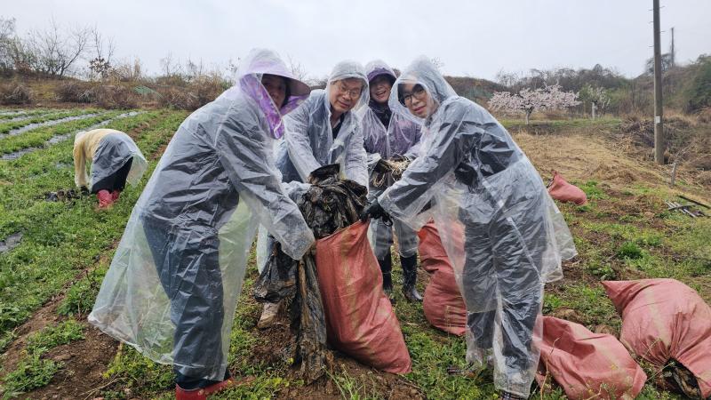농협 무주군지부 영농폐기물 수거 캠페인 및 일손돕기