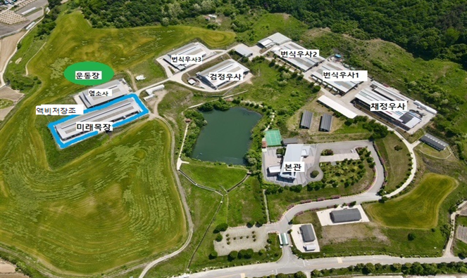 로봇이 소젖 짜고 소똥 치우고