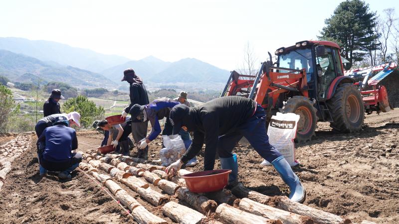 무주군 공공형 계절근로자 영농현장 배치