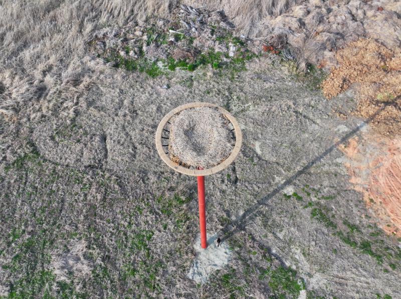 새만금환경생태단지관리단, 황새 서식 환경 조성
