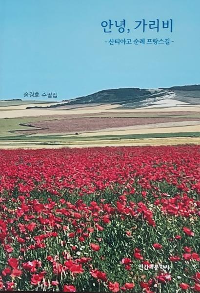 “산티아고 순례를 고민하는 당신께 답을 드립니다