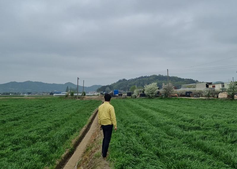 익산시, 고품질 탑마루 친환경 쌀 생산 준비 척척