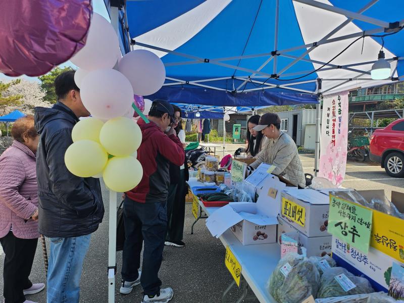 익산 웅포벚꽃축제, 이웃사랑 실천으로 이어져