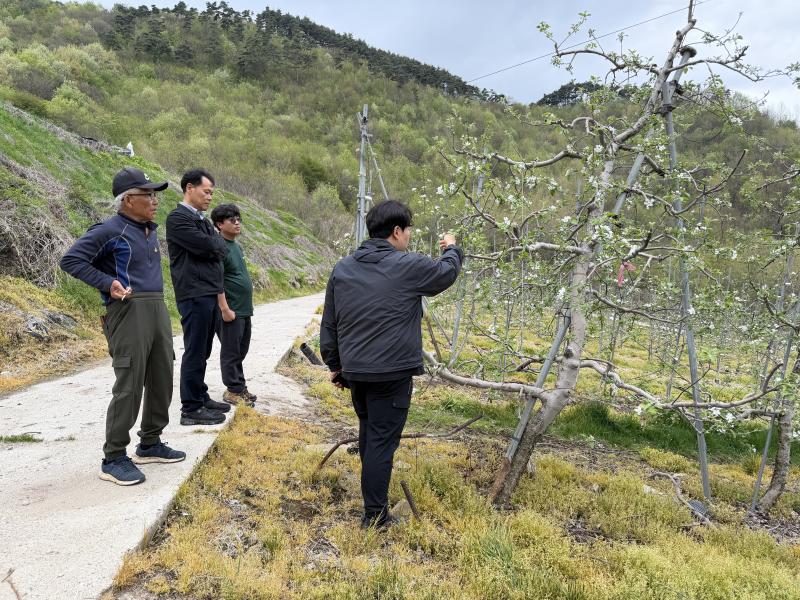 장수군, 신규 사과 과원 조성 현장컨설팅 본격 추진