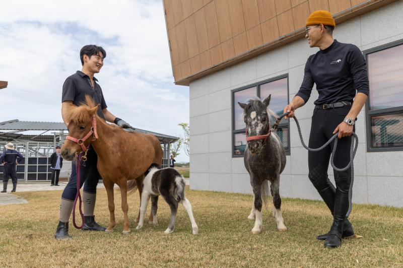 익산시 공공승마장에 새 생명…3대 포니 가족 탄생
