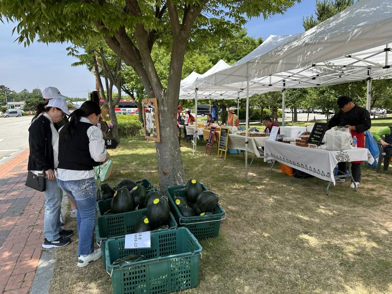 고창군, 운곡람사르습지 ‘오베이골 마을장터’ 