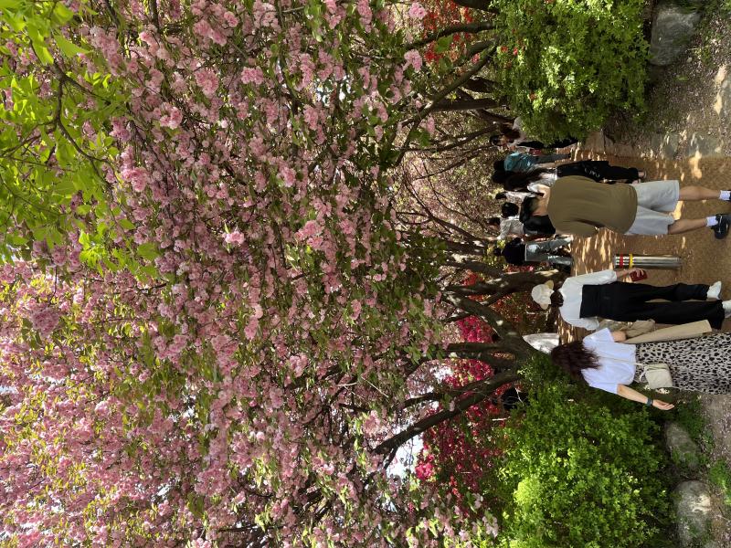 완산공원 꽃동산 봄 풍경 절정