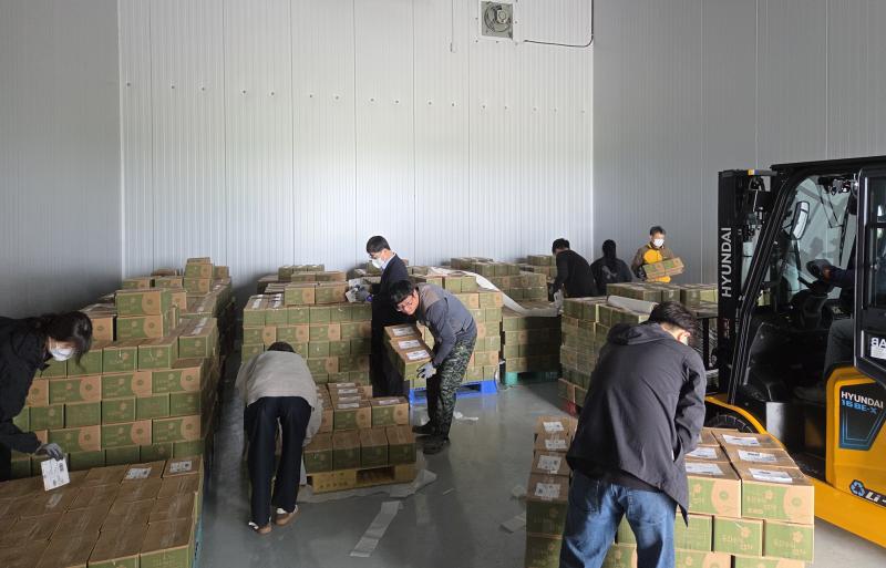 부안 동진면, 동진 수미감자 포장‧출하작업 일손돕기 추진
