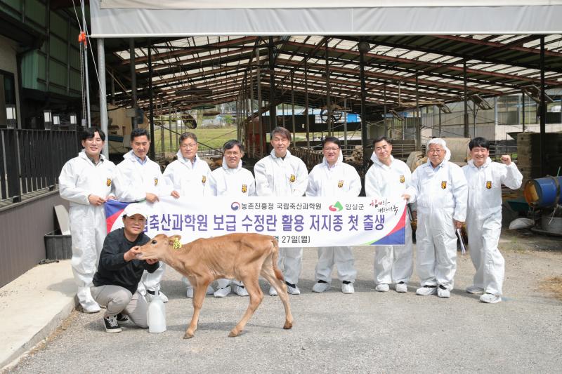 농촌진흥청-임실군 협약 결실…저지종 송아지 첫 탄생
