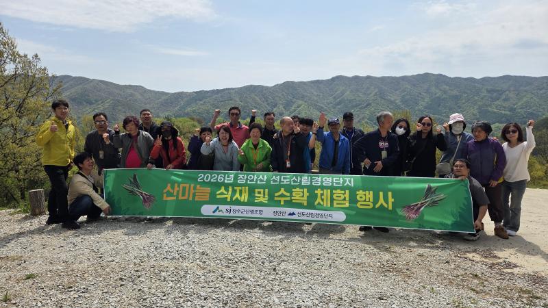 장수군산림조합, ‘장안산 산마늘’로 전하는 초록빛 나눔