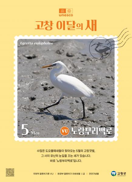 고창군, 5월 ‘고창갯벌 이달의 새’로 ‘노랑부리백로’ 선정